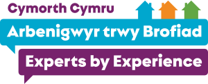 Experts Cymraeg